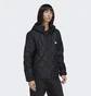 Пуховик мужской Adidas Down Quilted Puffer Jacket Black HL9205
