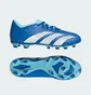 Бутсы унисекс Adidas Predator Accuracy.4 Fg Blue GZ0010