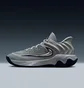 Кросівки чоловічі Nike Giannis Immortality 4 Grey FQ3680-008