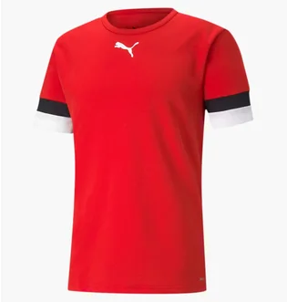 Футболка мужская Puma Teamrise Red 704932-01