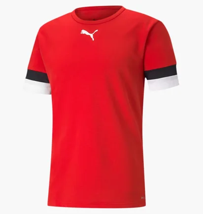 Футболка мужская Puma Teamrise Red 704932-01