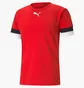 Футболка мужская Puma Teamrise Red 704932-01