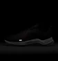 Кросівки чоловічі Nike Downshifter 12 Black Dd9293-003