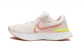 Кросівки жіночі Nike Wmns React Infinity Run 3 Beige DD3024-102