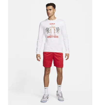Лонгслив мужской Nike Lebron Long-Sleeve T-Shirt White FQ4908-100