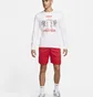 Лонгслив мужской Nike Lebron Long-Sleeve T-Shirt White FQ4908-100