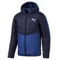 Куртка мужская Puma Warmcell Padded Blue 580009-39