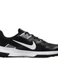 Кросівки чоловічі Nike Varsity Compete Tr 3 Black CJ0813-001