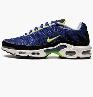 Кросівки чоловічі Nike Air Max Plus Blue DM0032-400