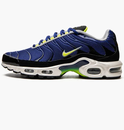 Кросівки чоловічі Nike Air Max Plus Blue DM0032-400