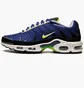 Кросівки чоловічі Nike Air Max Plus Blue DM0032-400