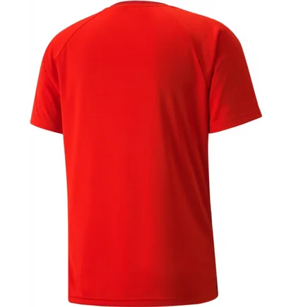 Футболка мужская Puma Teamvision Jersey Red 704921-01