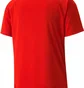 Футболка мужская Puma Teamvision Jersey Red 704921-01
