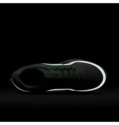 Кросівки чоловічі Nike Pegasus Premium MenS Road Running Shoes Green HQ2592-301