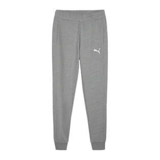 Штаны мужские Puma Teamgoal Casuals Grey 658598-33