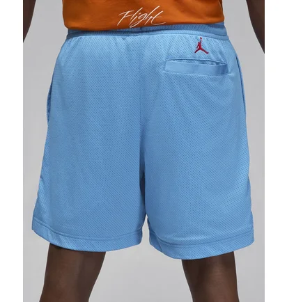 Шорти чоловічі Air Jordan Artist Series By Darien Birks Shorts Light Blue HF5474-462