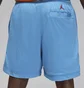 Шорти чоловічі Air Jordan Artist Series By Darien Birks Shorts Light Blue HF5474-462