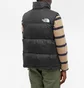 Жилетка чоловіча The North Face 1996 Retro Npse Vst Black Nf0A3Jqqle4