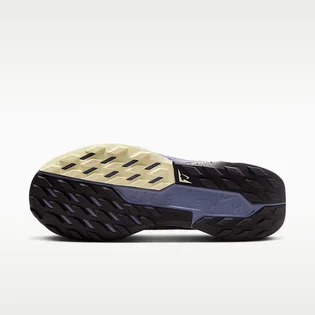 Кроссовки женские Nike W Pegasus Trail 5 Gtx Blue FQ0912-402