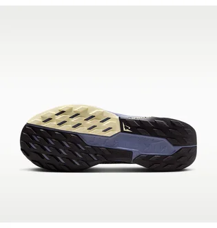 Кроссовки женские Nike W Pegasus Trail 5 Gtx Blue FQ0912-402