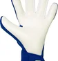 Рукавиці воротарські чоловічі Reusch Reusch Fastgrip Advance Blue 5672200-4994