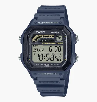 Часы мужские Casio Timeless Collection WS-1600H-2A