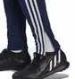 Штани жіночі Adidas Pants Tiro 23L Tr Pntw Blue HS3493
