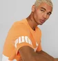 Футболка мужская Puma Power Colourblock Orange/White 673321-46