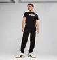 Футболка чоловіча Puma Essentials No. 1 Logo Tee Men Black 682532-01