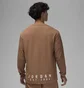 Свитшот мужской Air Jordan Essential Lifestyle Brown FV7456-223