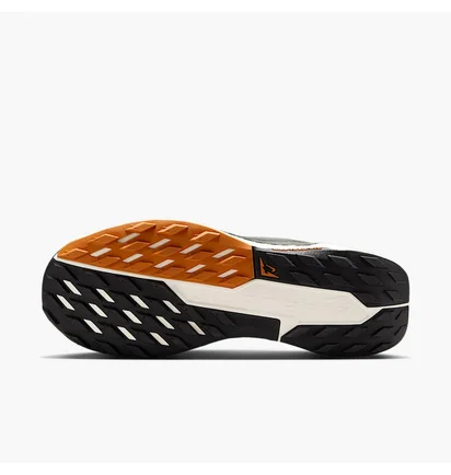 Кросівки чоловічі Nike Pegasus Trail 5 Black DV3864-006