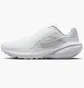 Кросівки жіночі Nike Downshifter 14 White IB1899-102