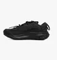 Кроссовки мужские Nike Acg Mountain Fly 2 Low Gtx Sneaker Black HF6245-001
