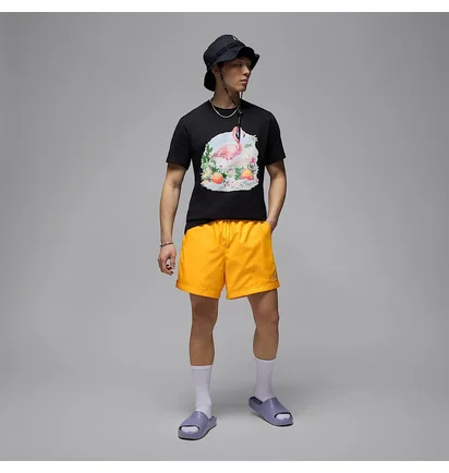 Футболка мужская Air Jordan Ess Flamingo Ss Crew Black HJ2399-010