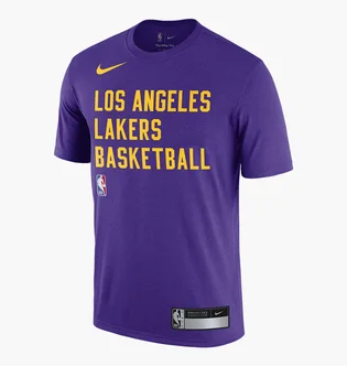 Футболка мужская Nike T-Shirt Dri-Fit Nba Los Angeles Lakers Violet FJ0209-504