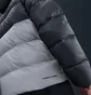 Пуховик чоловічий Nike Nk Windrunner Stmnt Dwn Jkt Grey HQ7790-061