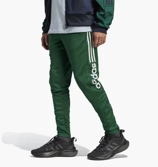 Штаны мужские Adidas Tiro Wordmark Pants Black IM2935