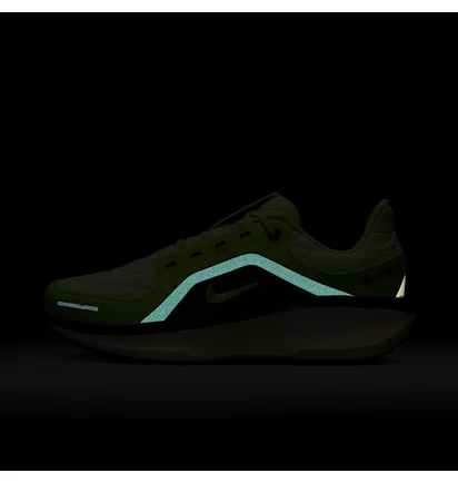 Кросівки жіночі Nike Winflo 11 Green FQ1359-300