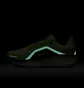 Кросівки жіночі Nike Winflo 11 Green FQ1359-300