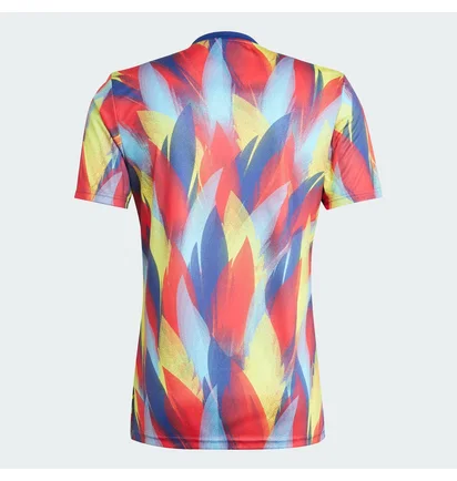 Футболка чоловіча Adidas Arsenal 25/26 Pre-Match Multi JJ1797