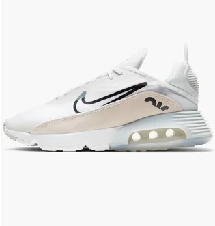 Кроссовки мужские Nike Air Max 2090 White DH4104-100