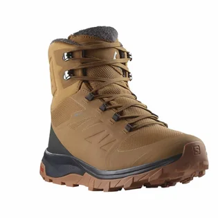 Ботинки мужские Salomon Outblast Ts Cswp Brown 473825