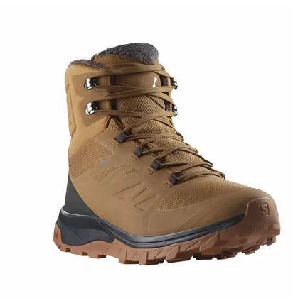 Ботинки мужские Salomon Outblast Ts Cswp Brown 473825