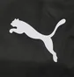 Рюкзак унісекс Puma Teamgoal Black 076853-03