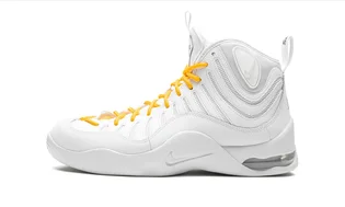 Кросівки чоловічі Nike Air Bakin Sp White DX3292-100