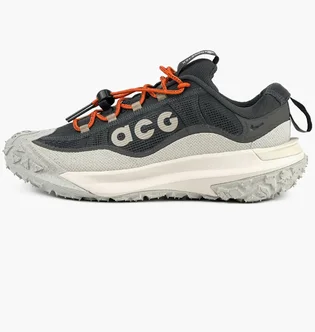 Кроссовки мужские Nike Acg Mountain Fly 2 Low Gore-Tex Grey HF6245-002