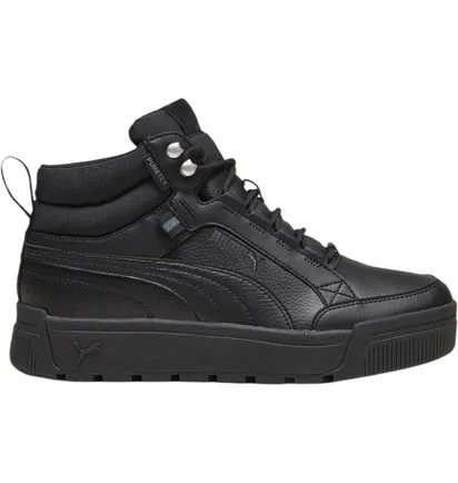 Кроссовки мужские Puma Tarrenz Sb Iii Puretex Black 393930-01