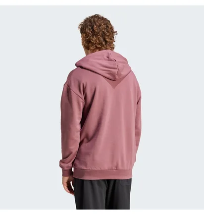 Худи мужское Adidas Terrex Logo Hoodie Violet IN4715