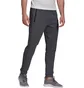 Штаны мужские Adidas D2M Motion Grey GM2085
