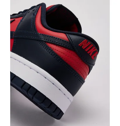 Кроссовки мужские Nike Dunk Low Blue/Red DV0833-601